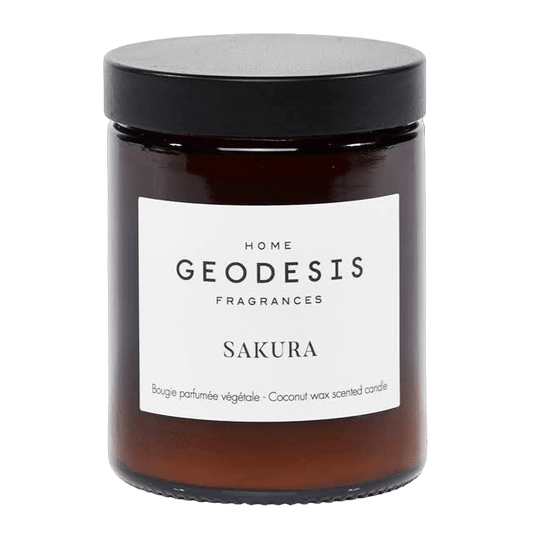 Sakura, Japan, Candle by Geodesis