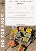 TADÉ PAYS DU LEVANT Citron Marseille Soap with Olive Oil | 100g French Soaps UK